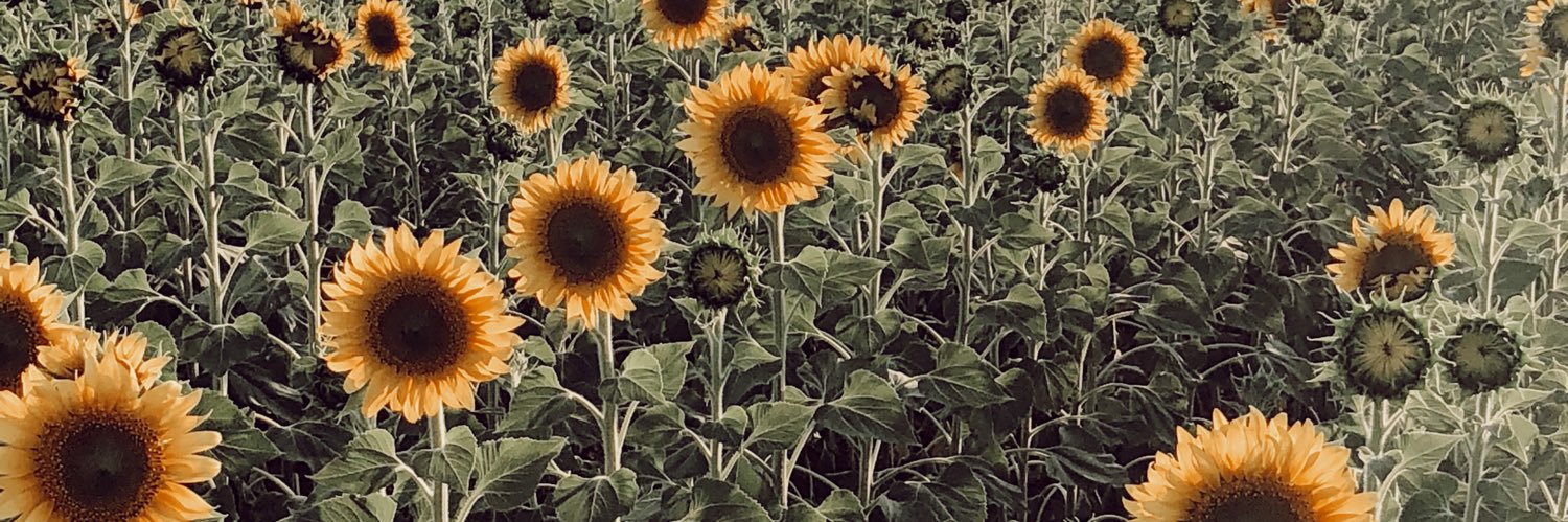caarolcarrasco5's profile banner image