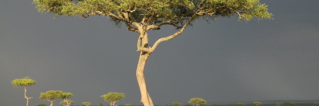 MichaelNewms's profile banner image