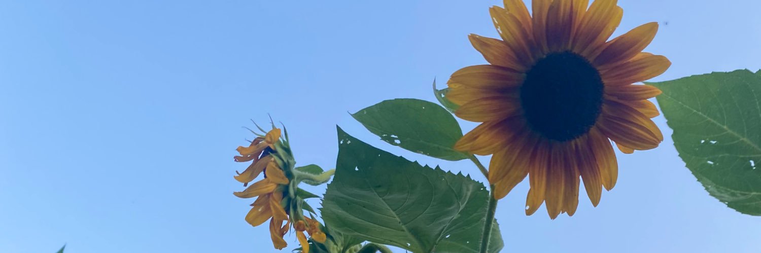 Danielle_lynch7's profile banner image