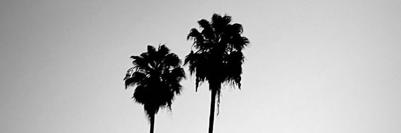 TiannaBanton's profile banner image