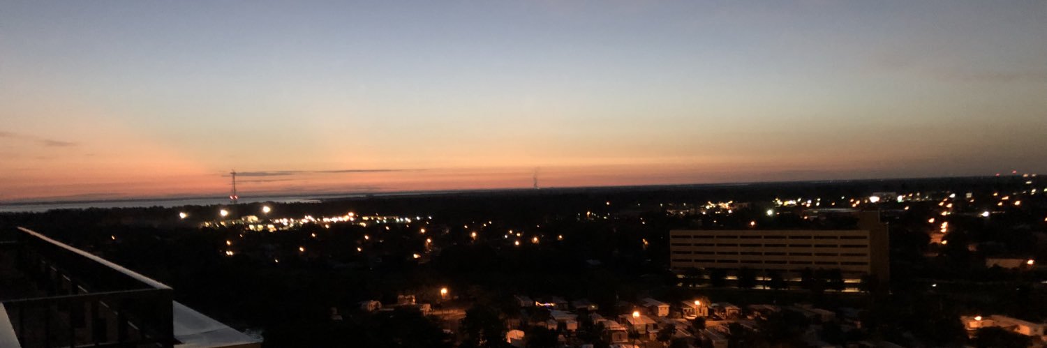 L banner