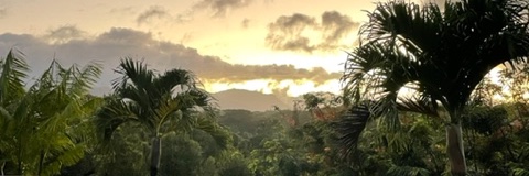 JennyMyMy's profile banner image