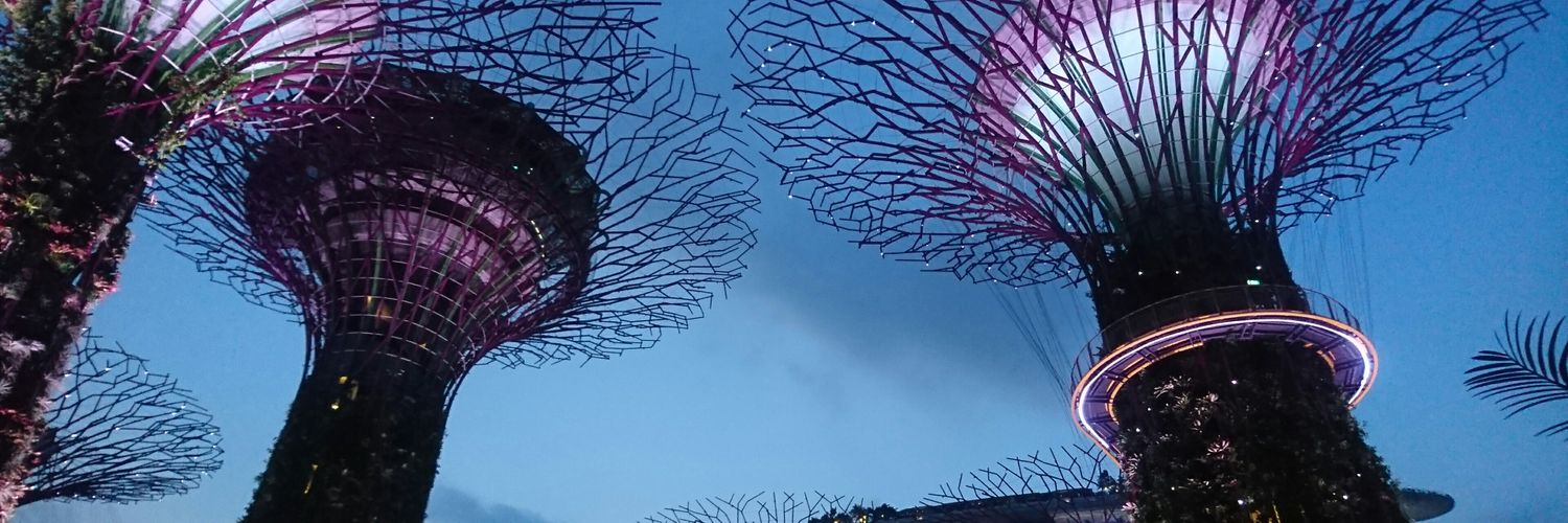 amnainmgea's profile banner image