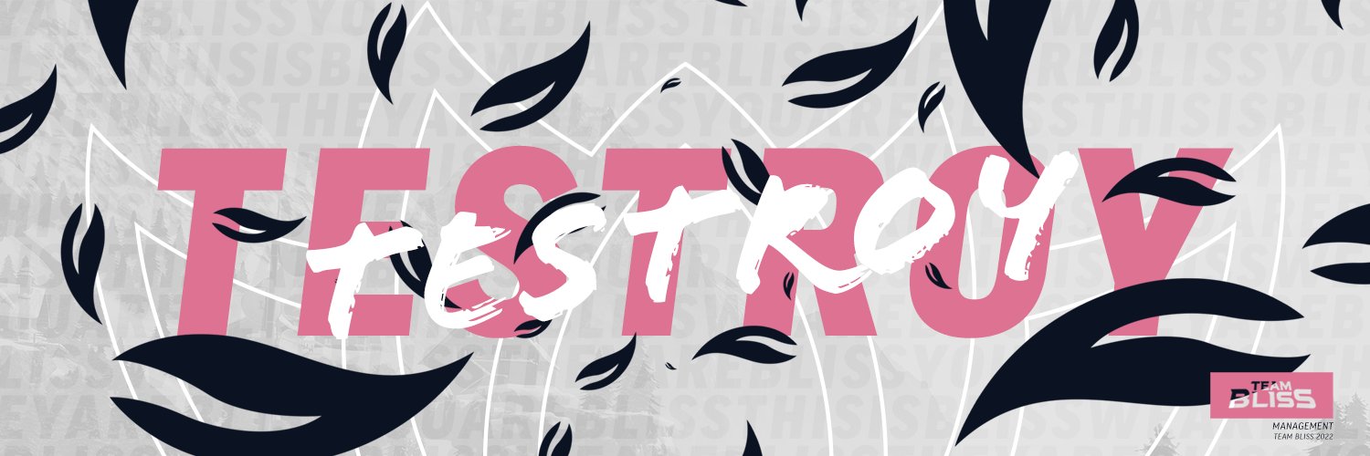 Testroy banner