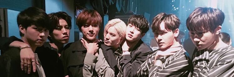 hoyasterie's profile banner image