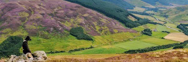 drjerrytsang Profile Banner