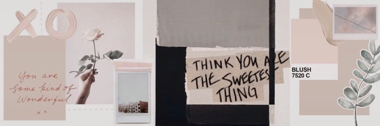 nightlysky_'s profile banner image