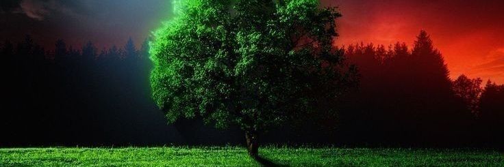 AlejandRock Cuandón banner