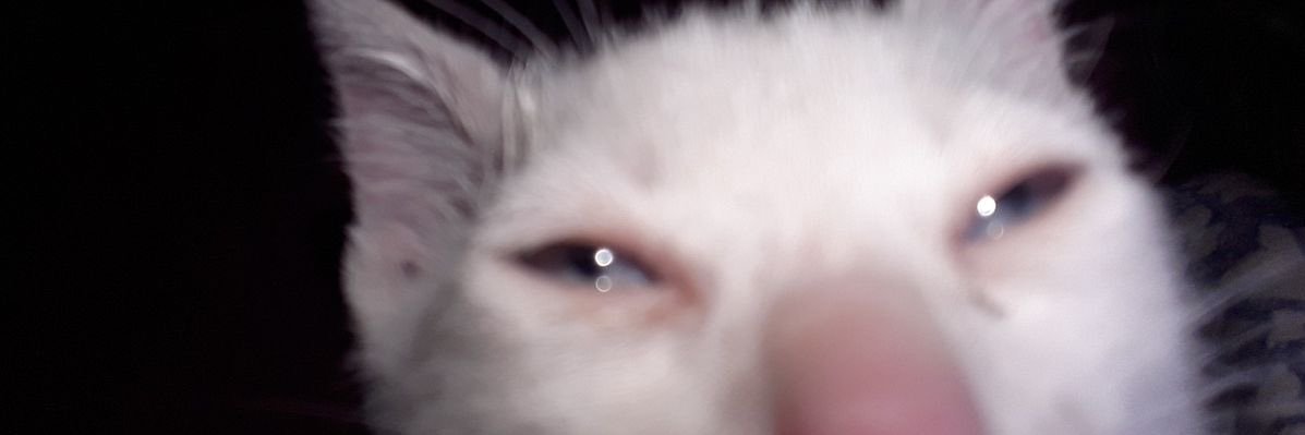 Lethanoxy's profile banner image