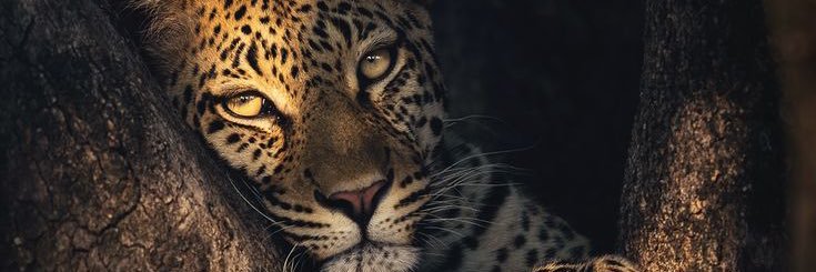 eitagio21's profile banner image