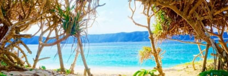 Yuich_f's profile banner image