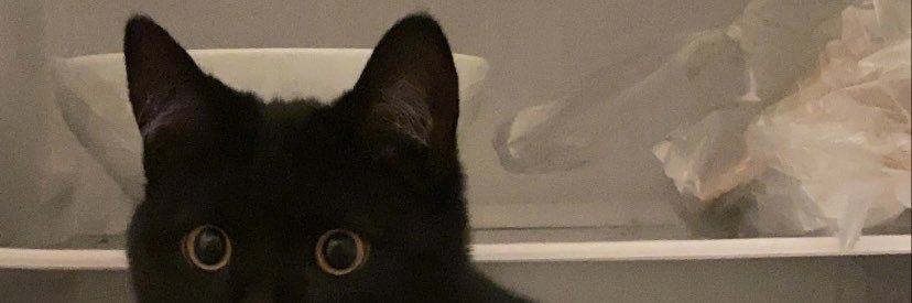 cleo banner