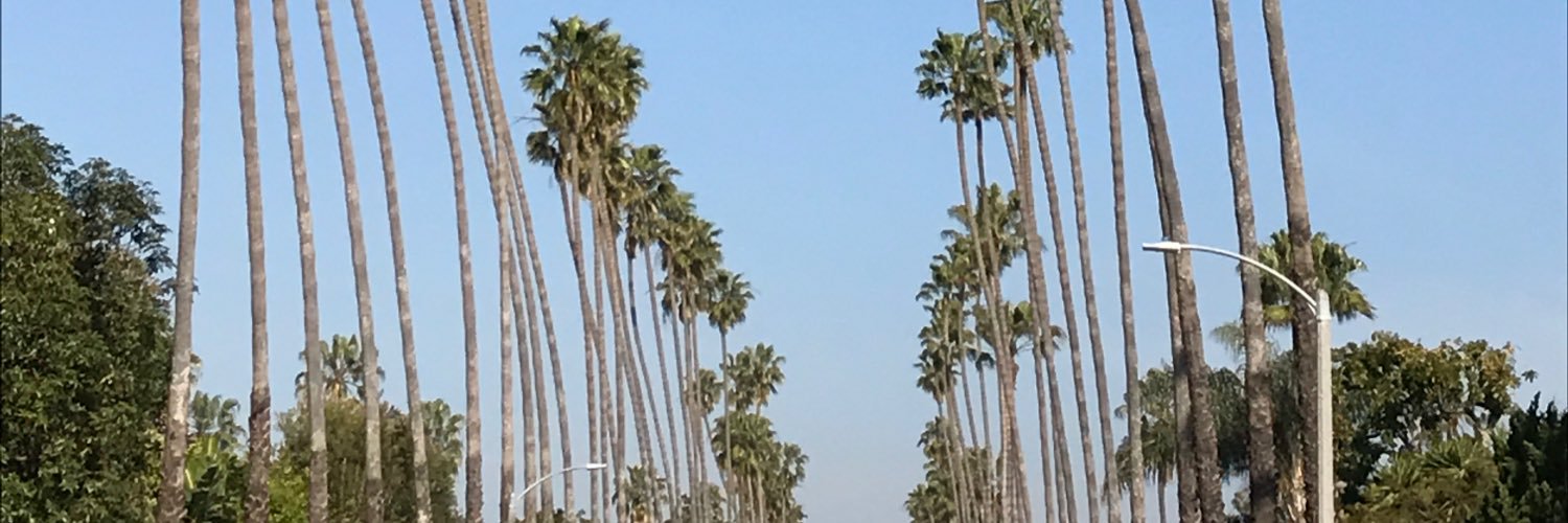 KylieCop's profile banner image