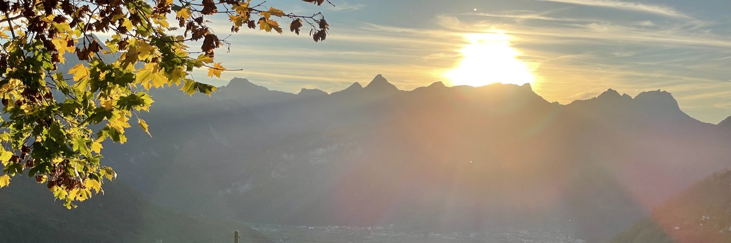 SuissD's profile banner image