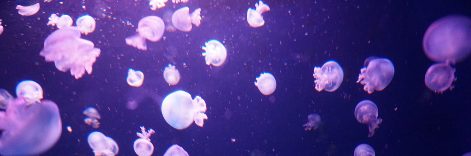 atsuno_oshi3's profile banner image