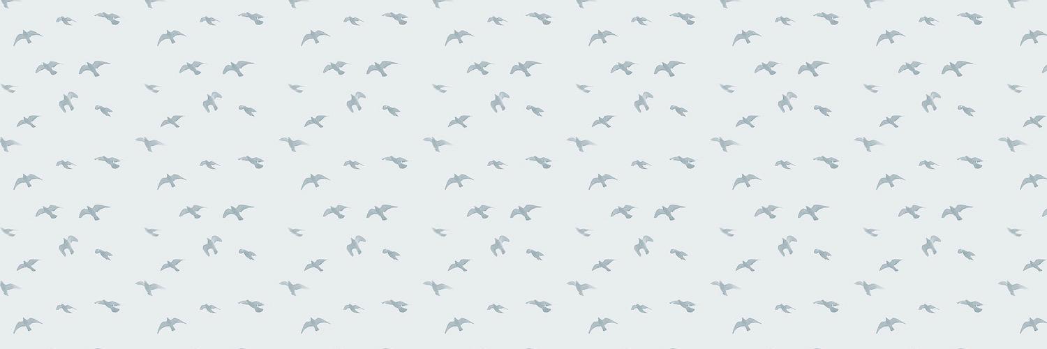 Ethan Darling banner