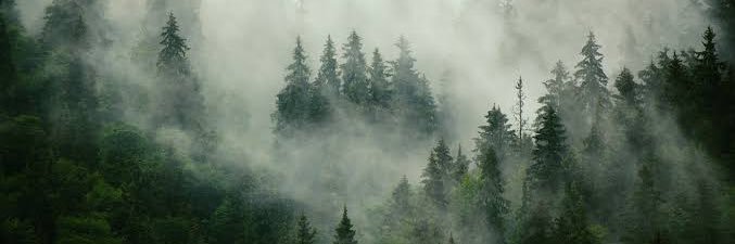 Michael Pailas banner