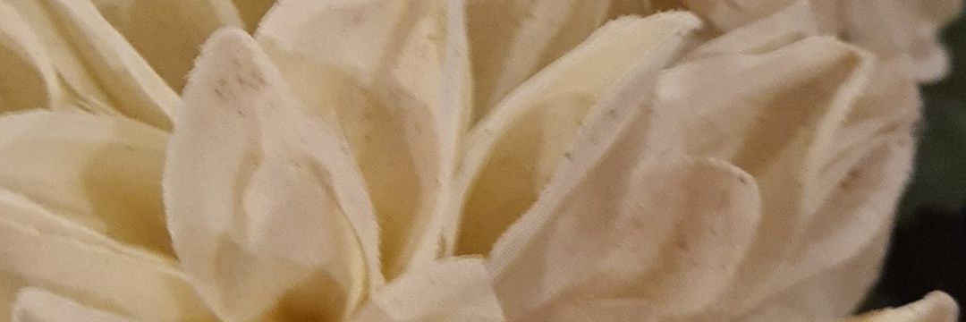NIAF111111's profile banner image