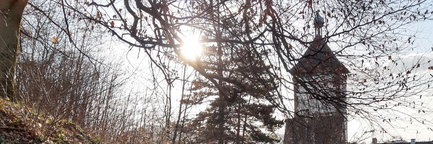 ordowin's profile banner image