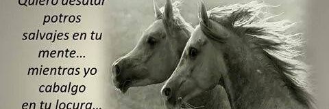 JuanEscolan's profile banner image