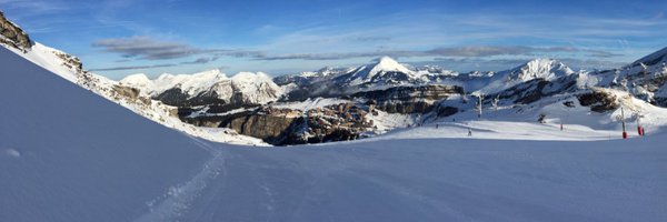 Selasaurus Profile Banner