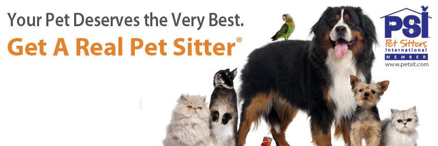 ypahstpete's profile banner image