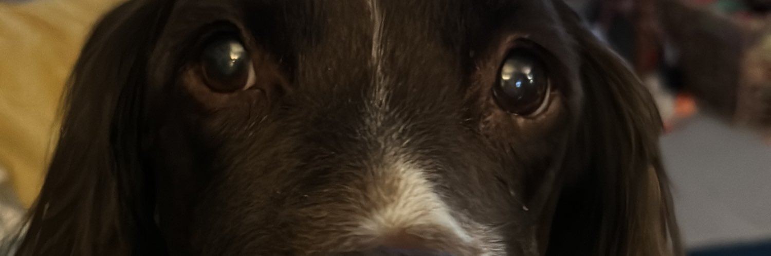 r1chwalker's profile banner image