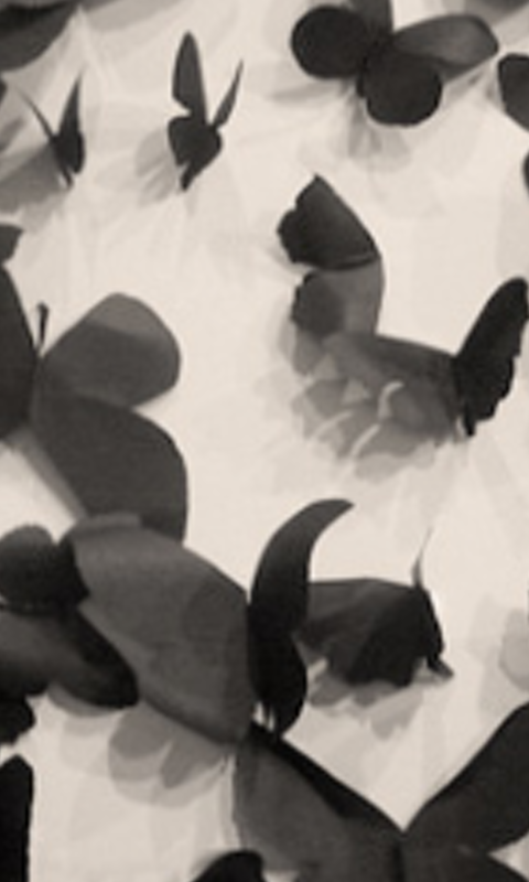 XMonster_LabX's profile banner image