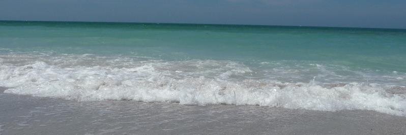 mauritienne's profile banner image