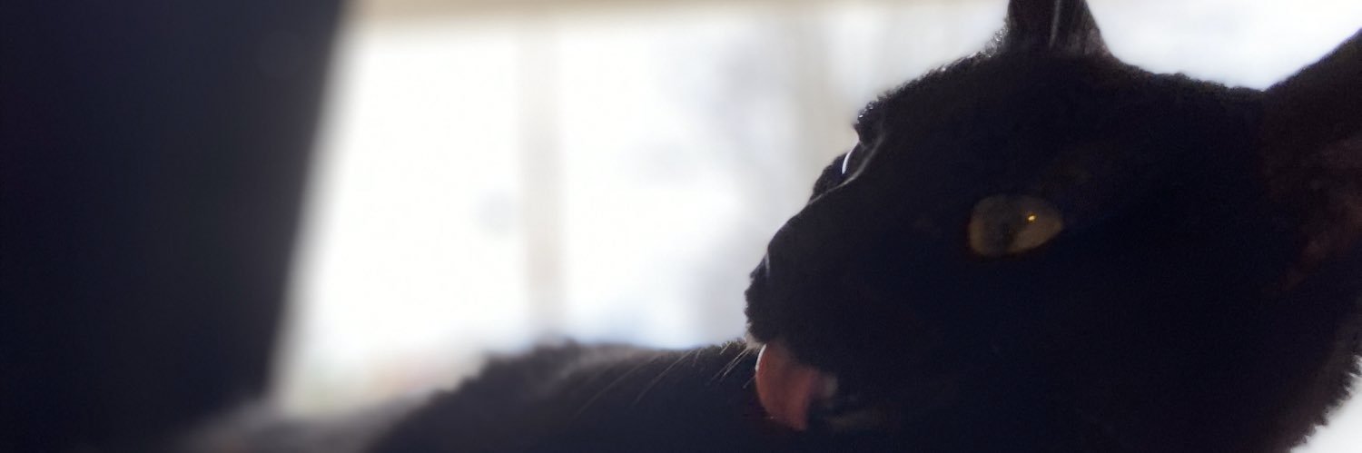 DanielleJump's profile banner image