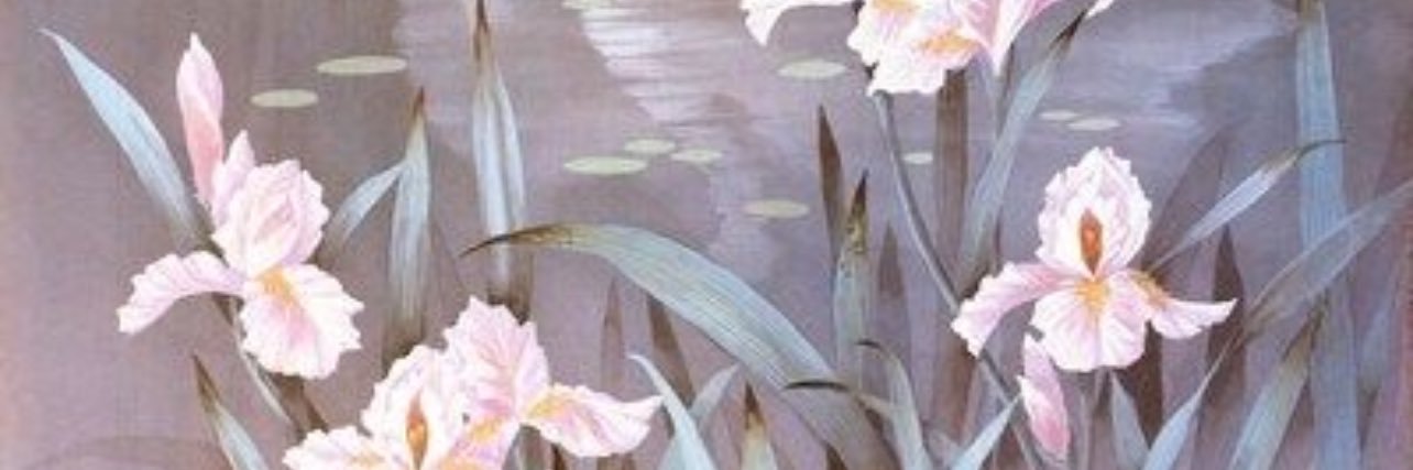 252_ma's profile banner image