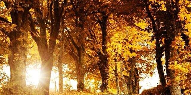 sandeep1785's profile banner image