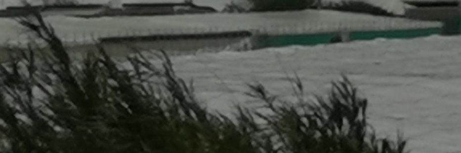 Jacin banner