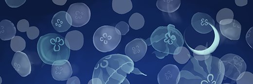 8282gecko's profile banner image