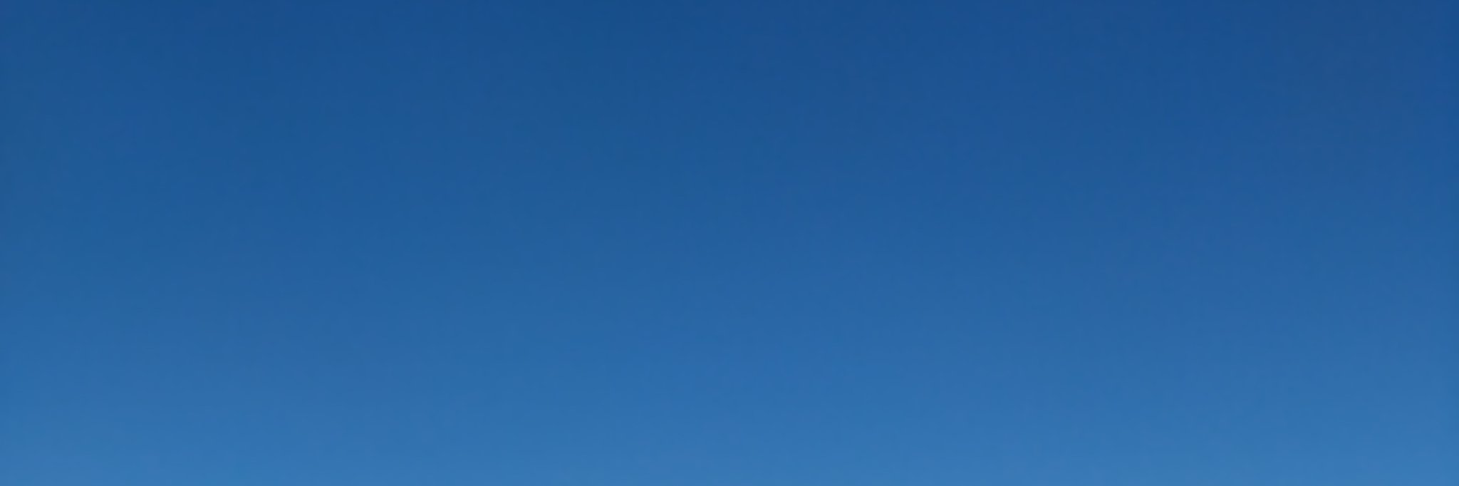 Fakevegan71's profile banner image