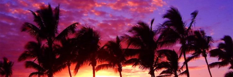 MonileHaley's profile banner image