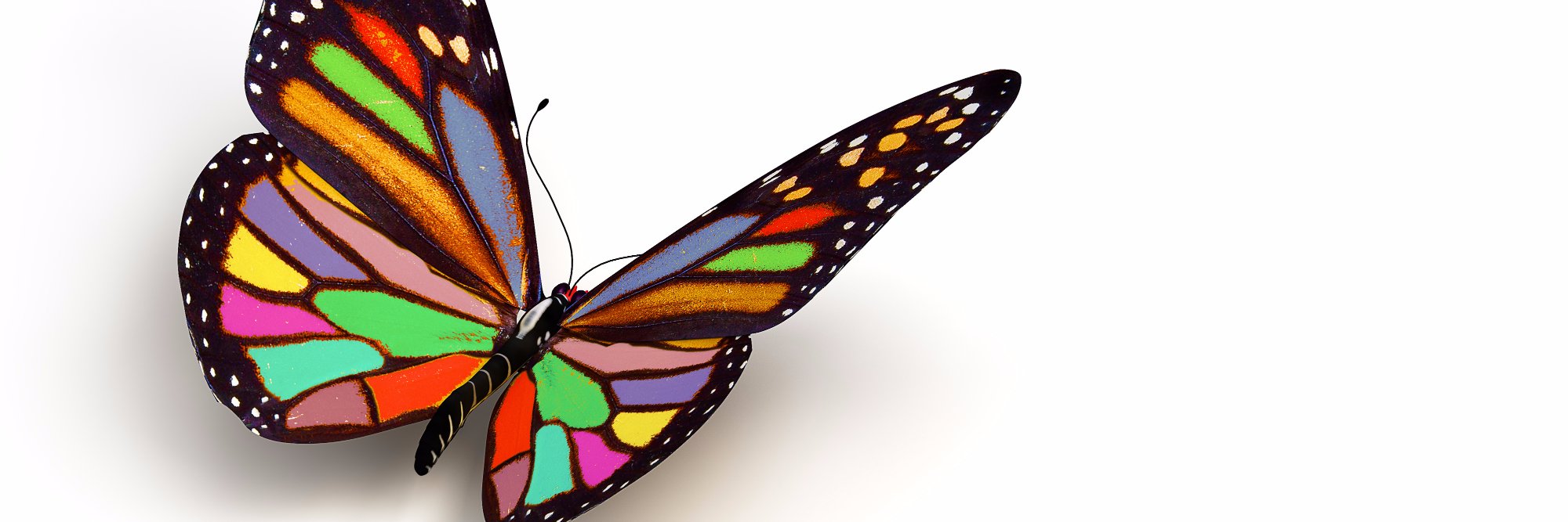 kscheuble's profile banner image