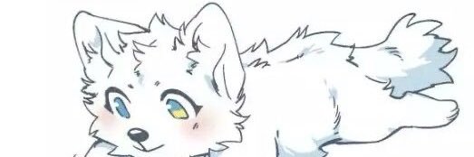 Yukidemon's profile banner image