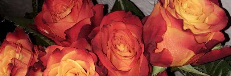 __0912a's profile banner image