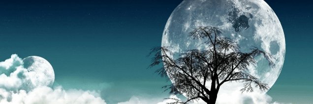 archer13579's profile banner image