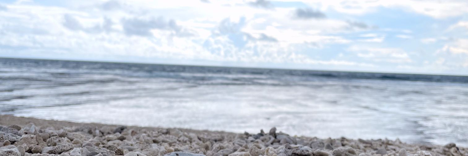 juvitaindri99's profile banner image