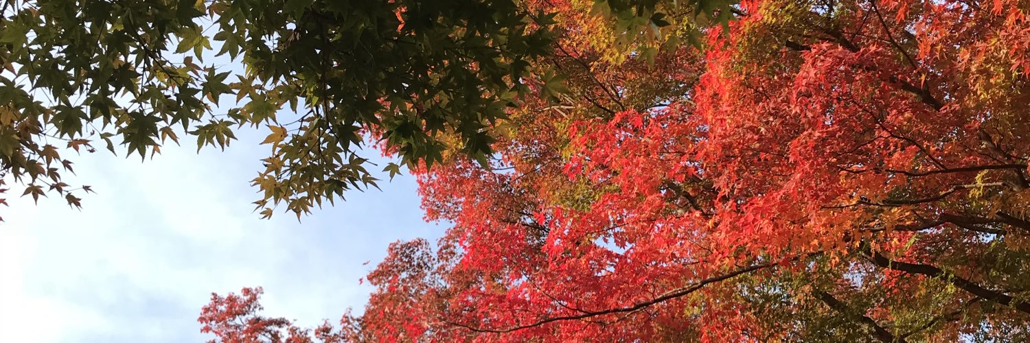 SockHoai's profile banner image