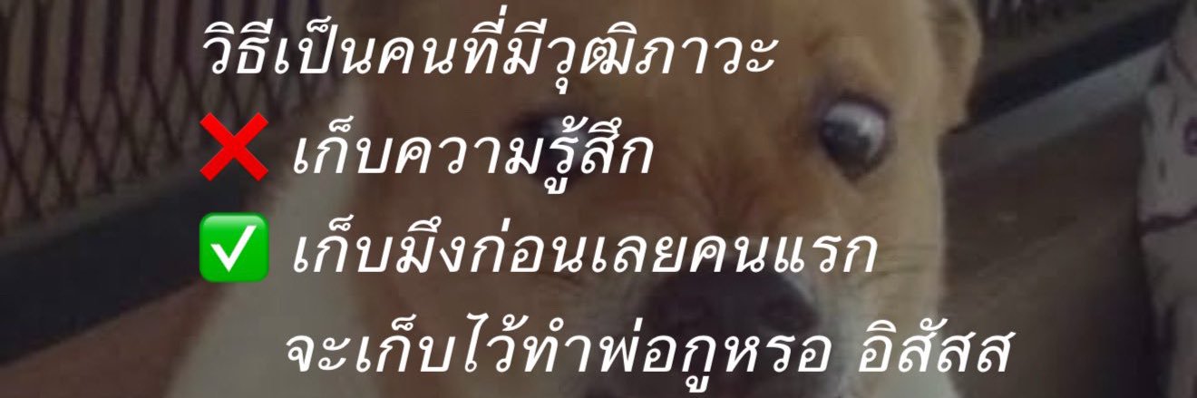 noeiii_'s profile banner image