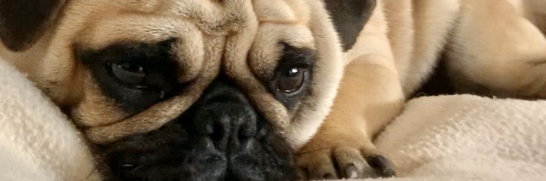 Tira com ‘ banner