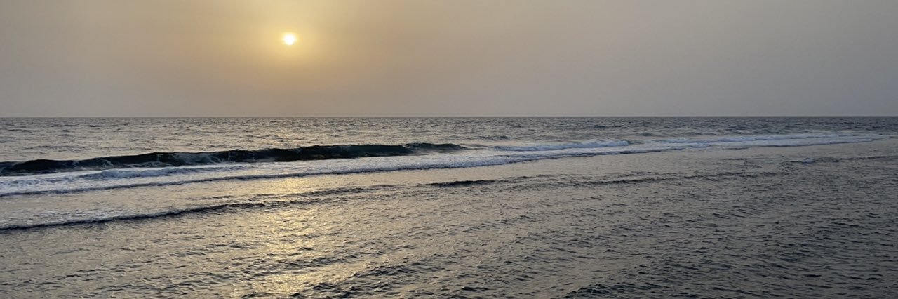Camphor_99's profile banner image