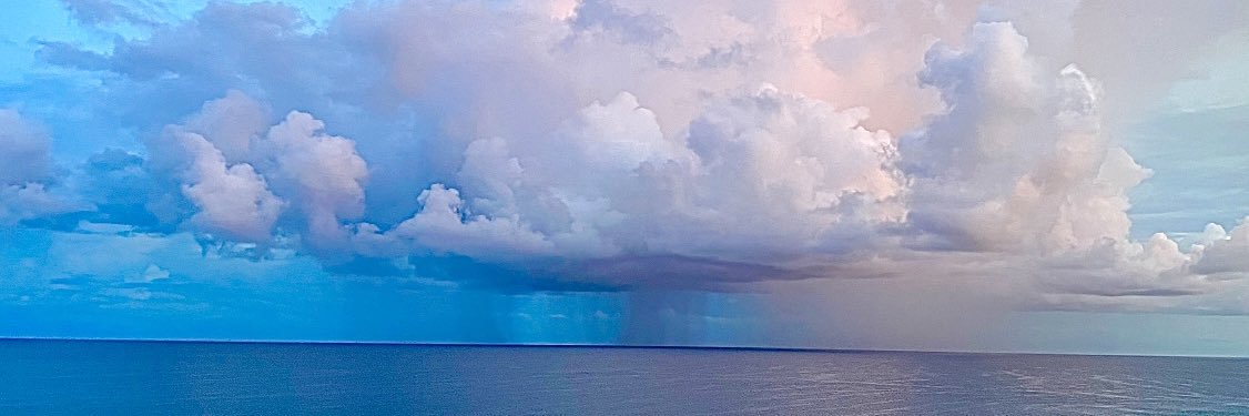 neviusjanice's profile banner image
