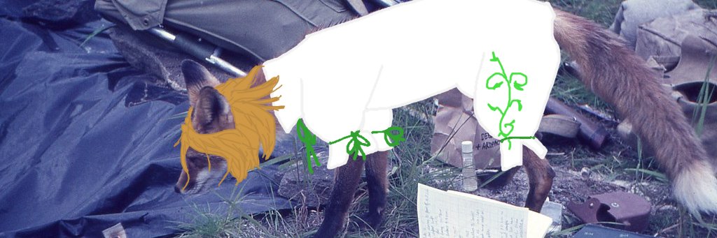 Dianya 🏳️‍🌈 ⟦ Foxgirl Magician ⟧ banner