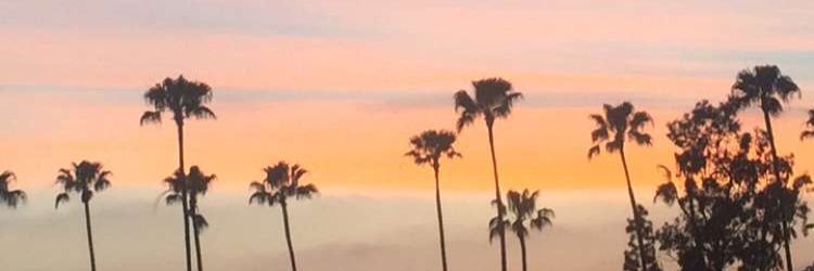 Ryleesavana's profile banner image