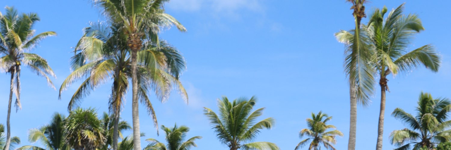 3Reanne's profile banner image