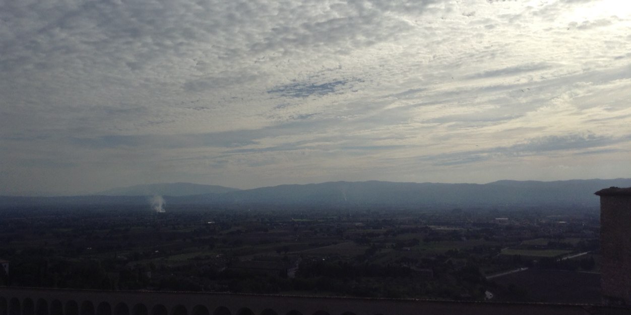 Amanda Lockyer banner